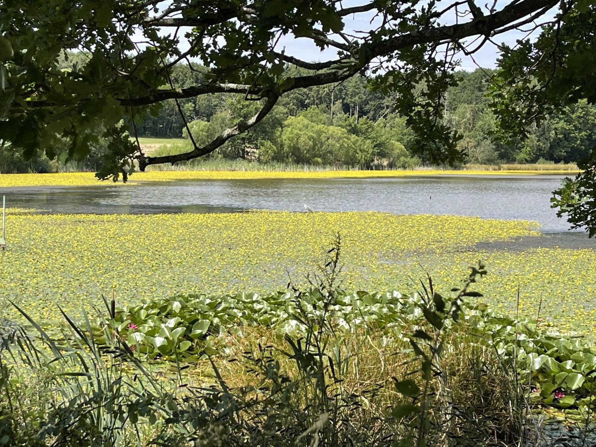 Landhotel Maarheide Niederdürenbach Kültér fotó